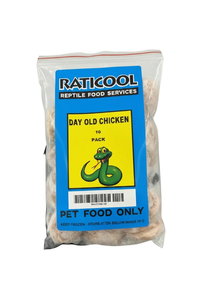 RATICOOL DAY OLD CHICKEN 10 PACK