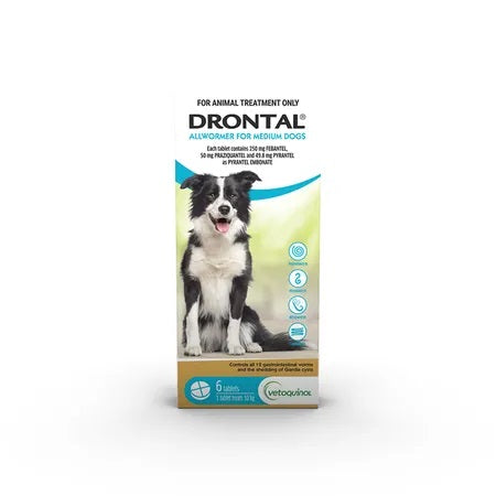 DRONTAL ALL WORMER MEDIUM DOGS 6PK TABLETS