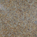 MP PREMIUM BUDGIE MIX 2KG
