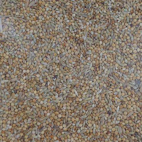 MP PREMIUM BUDGIE MIX 5KG