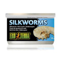 EXO TERRA SILKWORMS 34G
