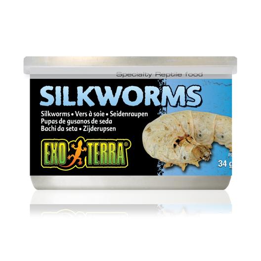 EXO TERRA SILKWORMS 34G