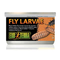 EXO TERRA BLACK SOLDIER FLY LARVAE 34G