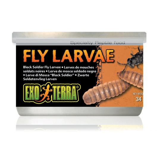 EXO TERRA BLACK SOLDIER FLY LARVAE 34G