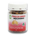 PISCES FREEZE DRIED MEALWORMS 40G