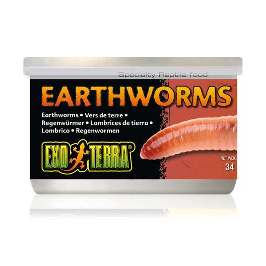 EXO TERRA EARTHWORMS 34G
