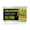 EXO TERRA GRASSHOPPERS 34G