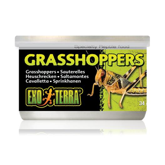 EXO TERRA GRASSHOPPERS 34G