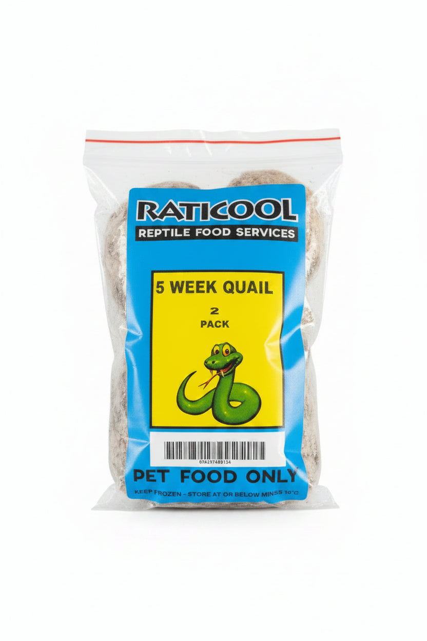RATICOOL 5 WEEK OLD QUAIL 2 PACK