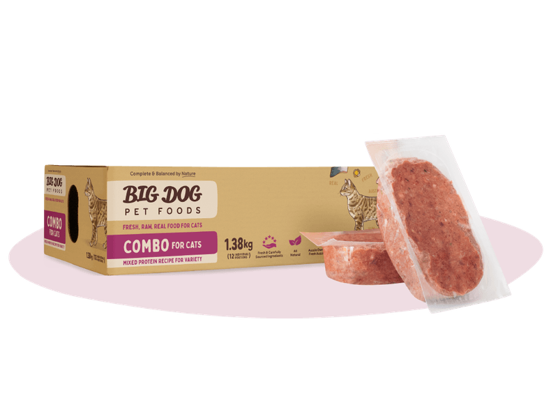 BIG DOG CAT COMBO PATTIES 1.38KG