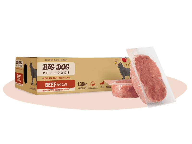 BIG DOG CAT BEEF PATTIES 1.38KG