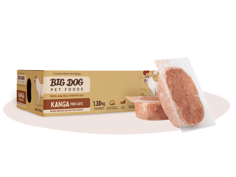 BIG DOG CAT KANGAROO PATTIES 1.38KG