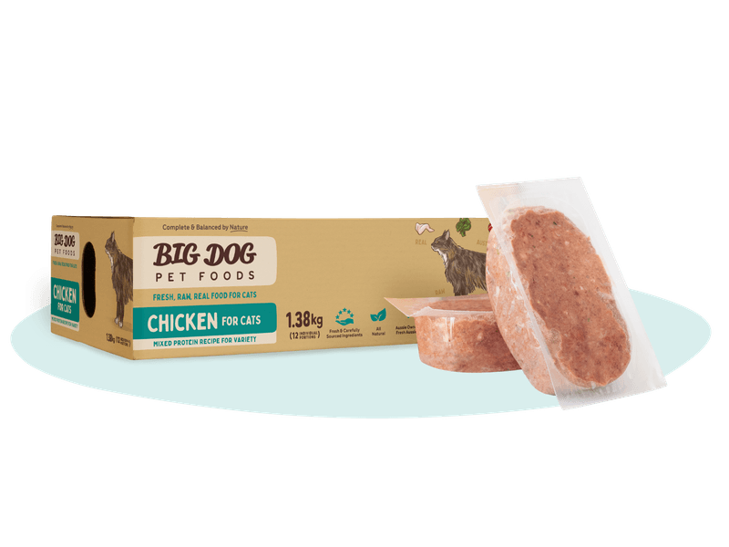 BIG DOG CAT CHICKEN PATTIES 1.38KG