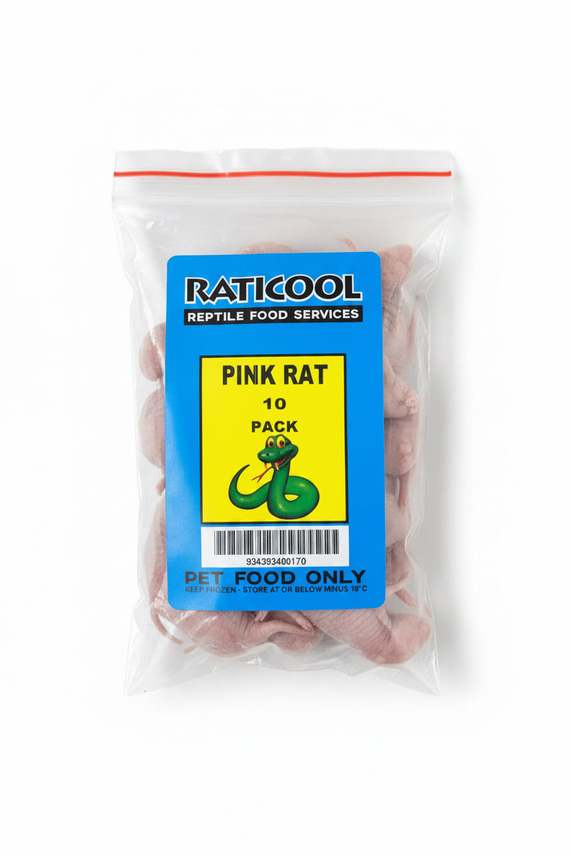 RATICOOL PINKIE RATS 10 PACK