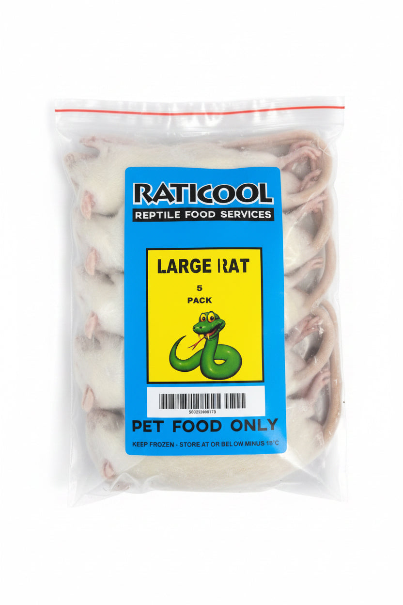 RATICOOL LARGE RATS 5 PACK