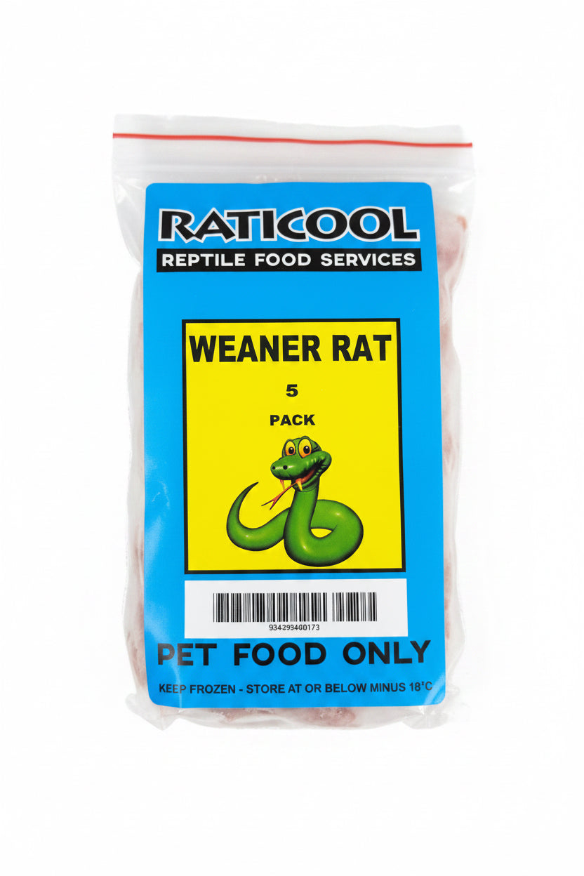 RATICOOL WEANER RATS 5 PACK