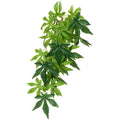 EXO TERRA JUNGLE PLANT ABUTILON MEDIUM