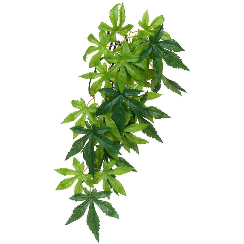EXO TERRA JUNGLE PLANT ABUTILON MEDIUM
