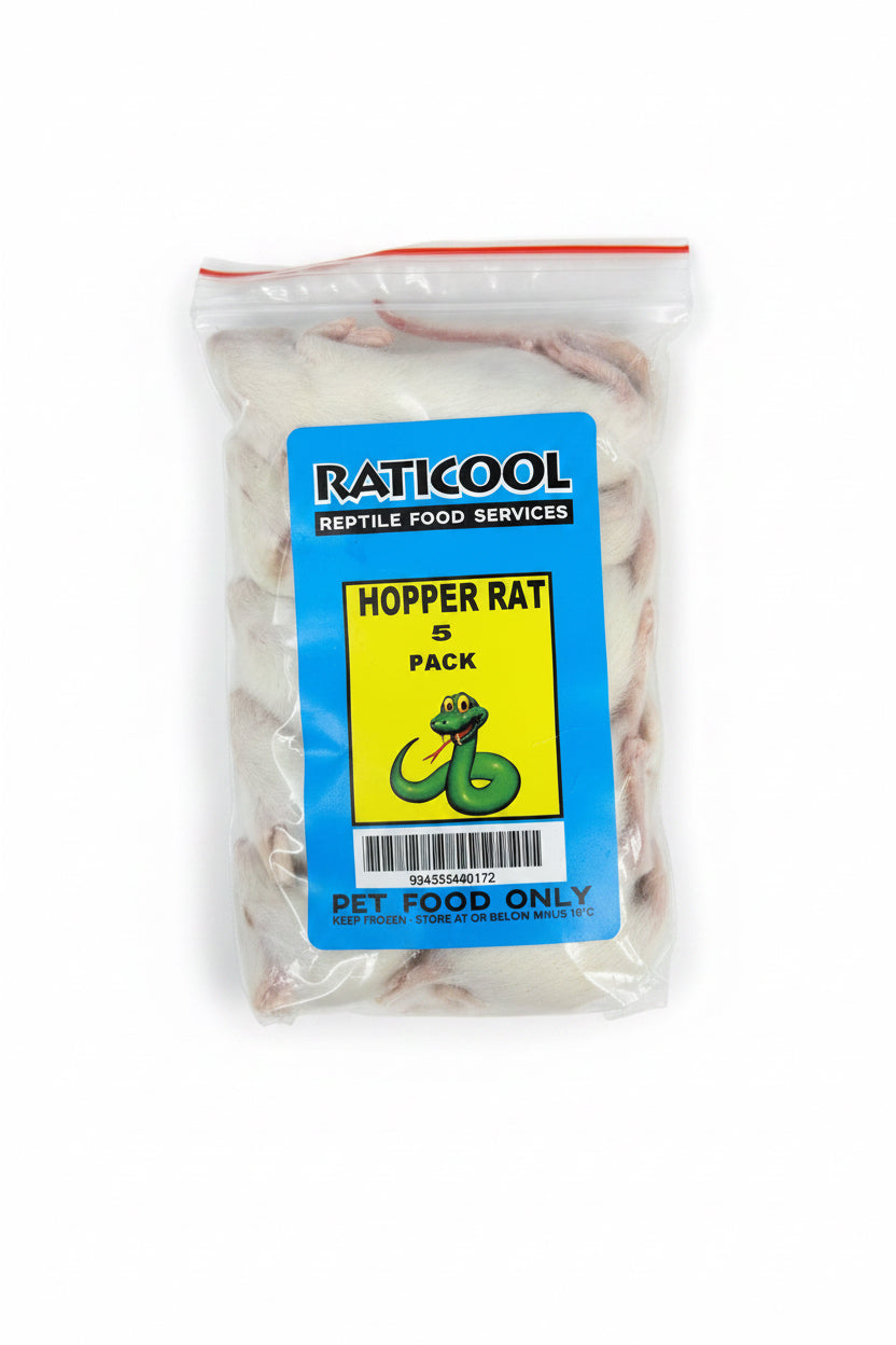 RATICOOL HOPPER RATS 5 PACK