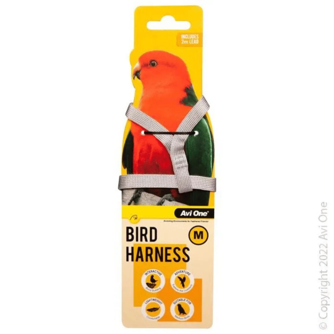 AVIONE BIRD HARNESS WITH LEAD ASST