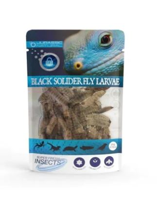 JURASSIC NATURALS PRESERVED BLACK SOLDIER FLY LARVAE 20G