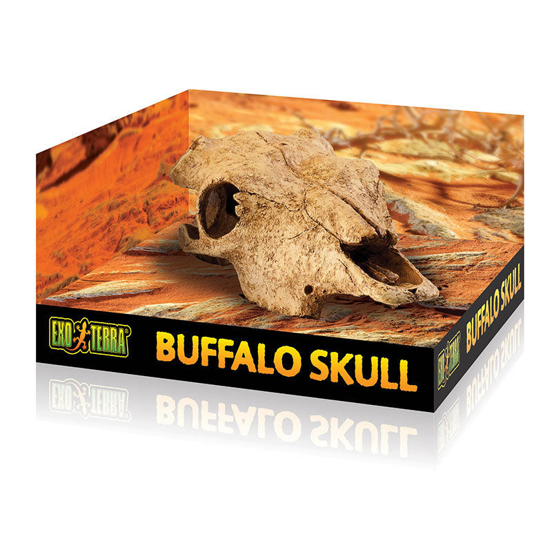 EXO TERRA BUFFALO SKULL