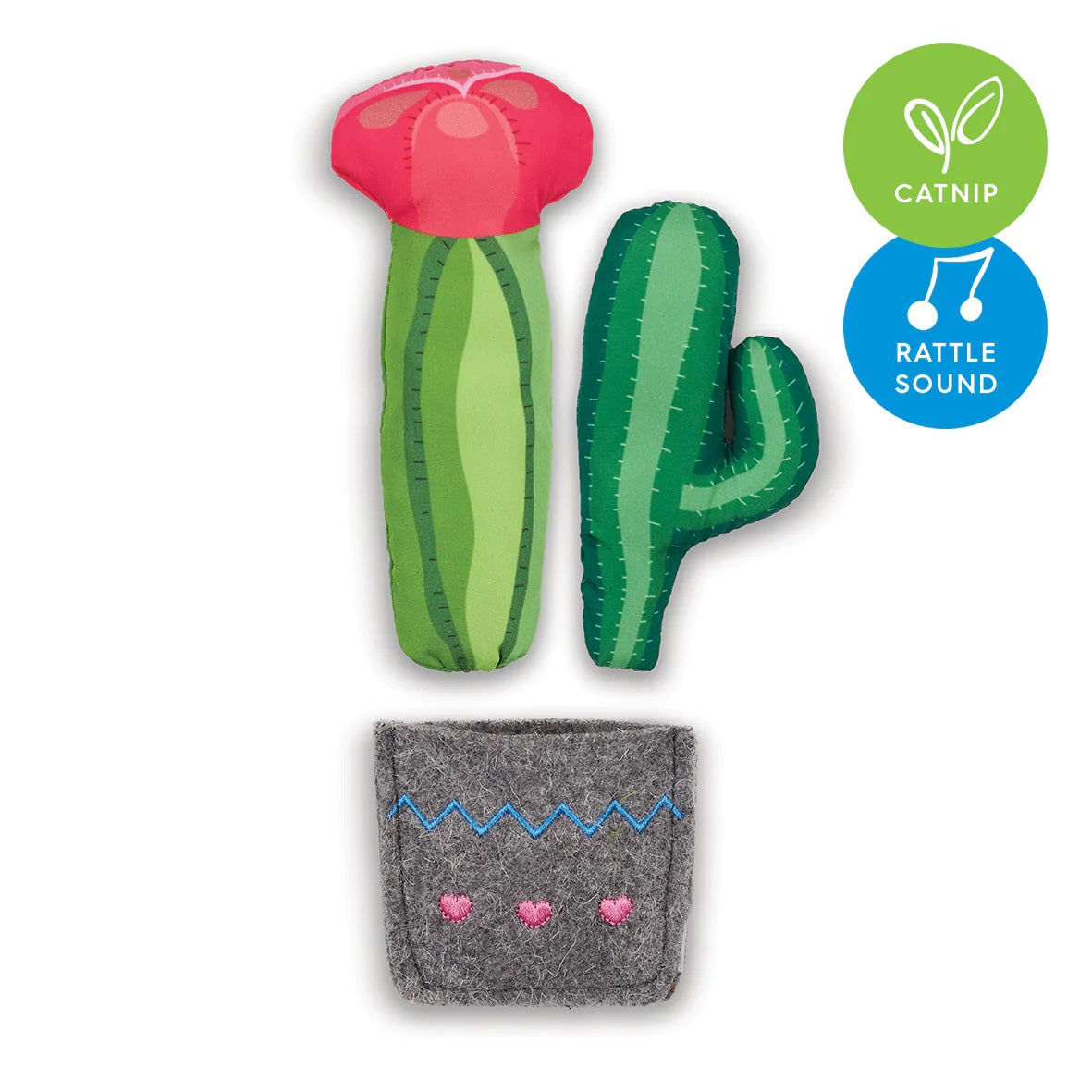 KAZOO CACTUS GARDEN WITH CATNIP