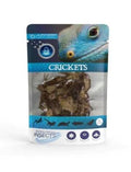 JURASSIC NATURALS PRESERVED CRICKETS 6G