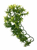 EXO TERRA JUNGLE PLANT CROTON MEDIUM