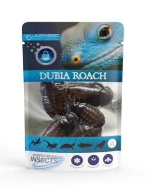 JURASSIC NATURALS PRESERVED DUBIA ROACHES 5PCS