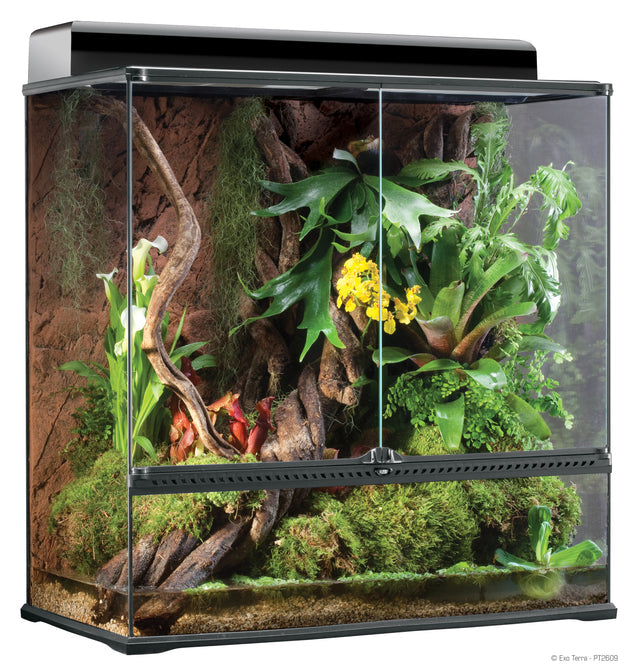 EXO TERRA GLASS TERRARIUM 90 X 45 X 90CM