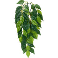 EXO TERRA JUNGLE PLANT FISCUS SMALL