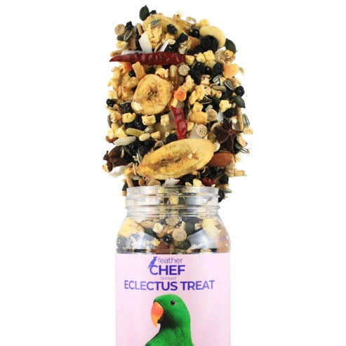 FEATHER FRIENDS ECLECTUS TREAT BIRD FOOD 350G