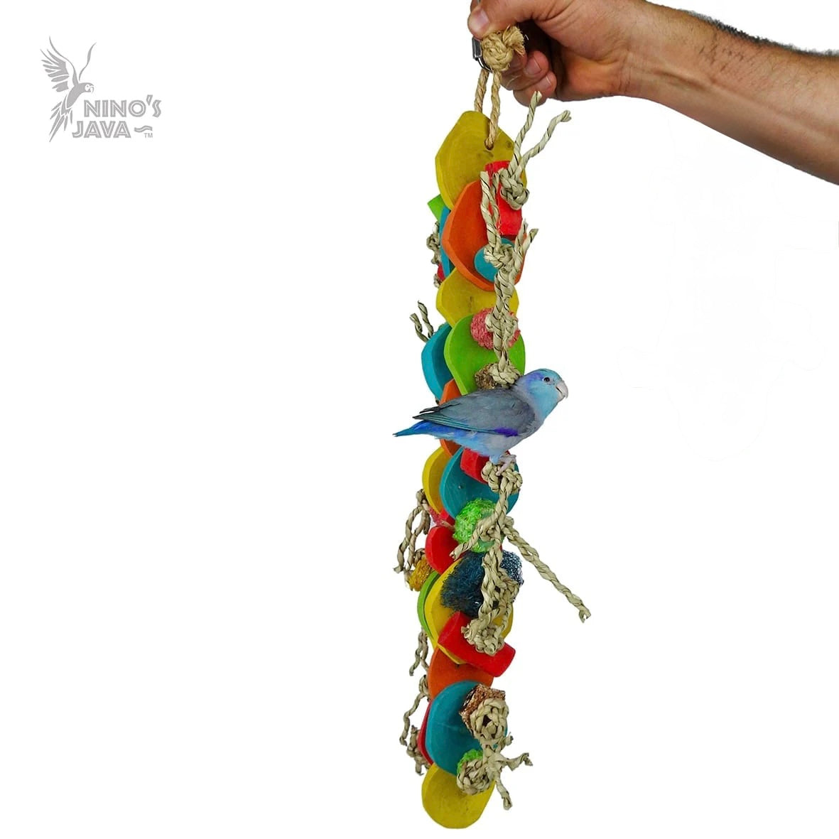 NINOS JAVA BIRD TOY CATERPILLAR MEDIUM
