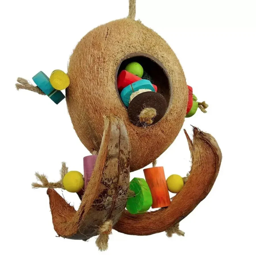 NINOS JAVA BIRD TOY COCO SURF