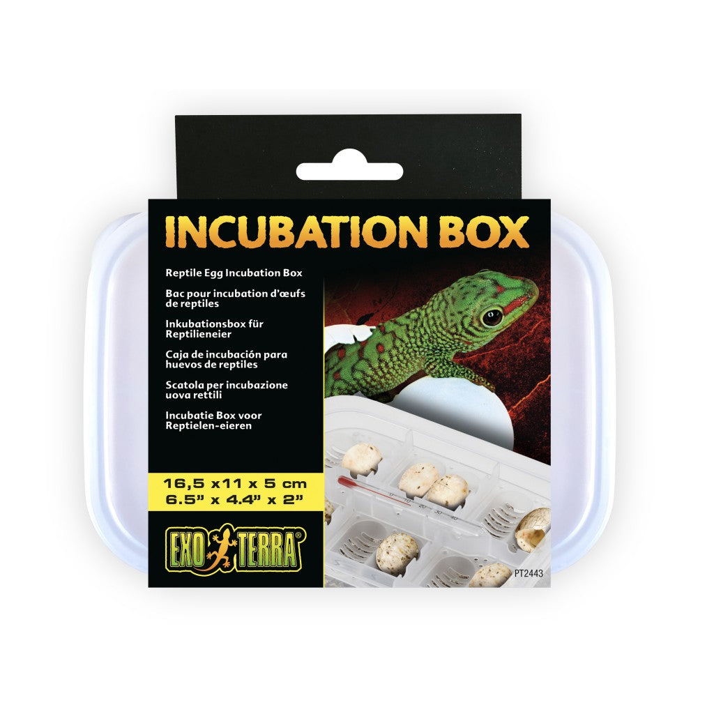 EXO TERRA INCUBATION BOTY