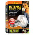EXO TERRA INTENSE BASKING SPOT LAMP 75W