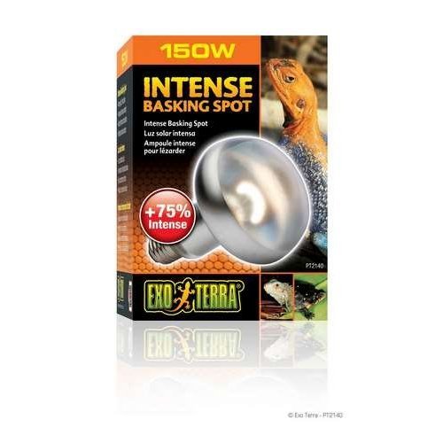 EXO TERRA INTENSE BASKING POT LAMP 150W