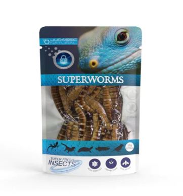 JURASSIC NATURALS PRESERVED SUPERWORM 20G