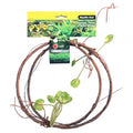 REPTILE ONE JUNGLE TWIST FLEXI VINE LEAF 1.5M