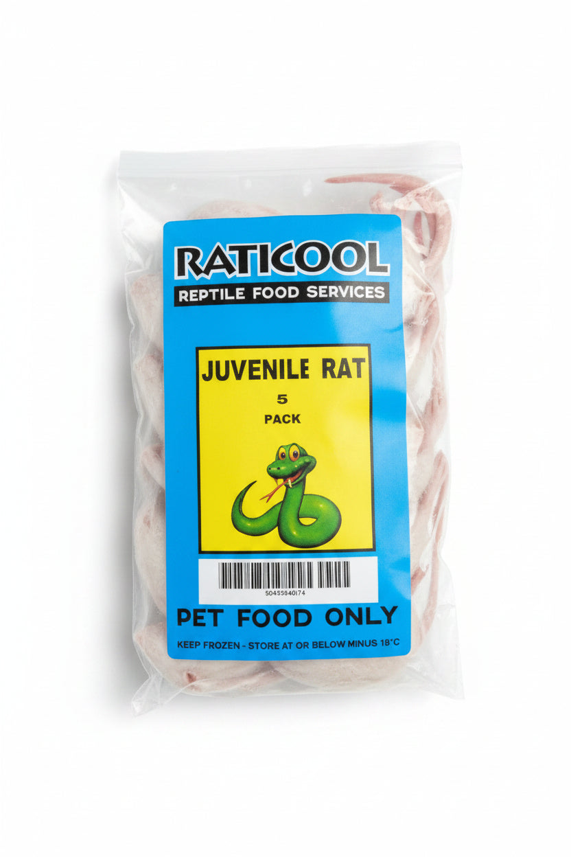 RATICOOL JUVENILE RATS 5 PACK