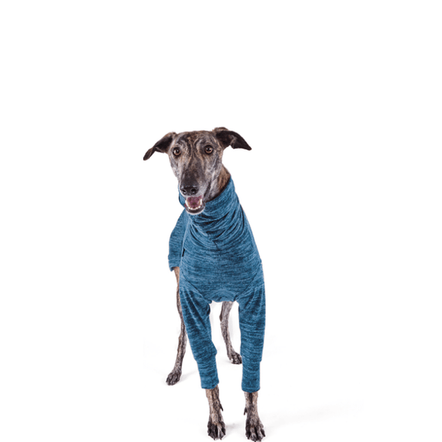 KAZOO DOG GREYHOUND SOFTIE JUMPER BLUE XS