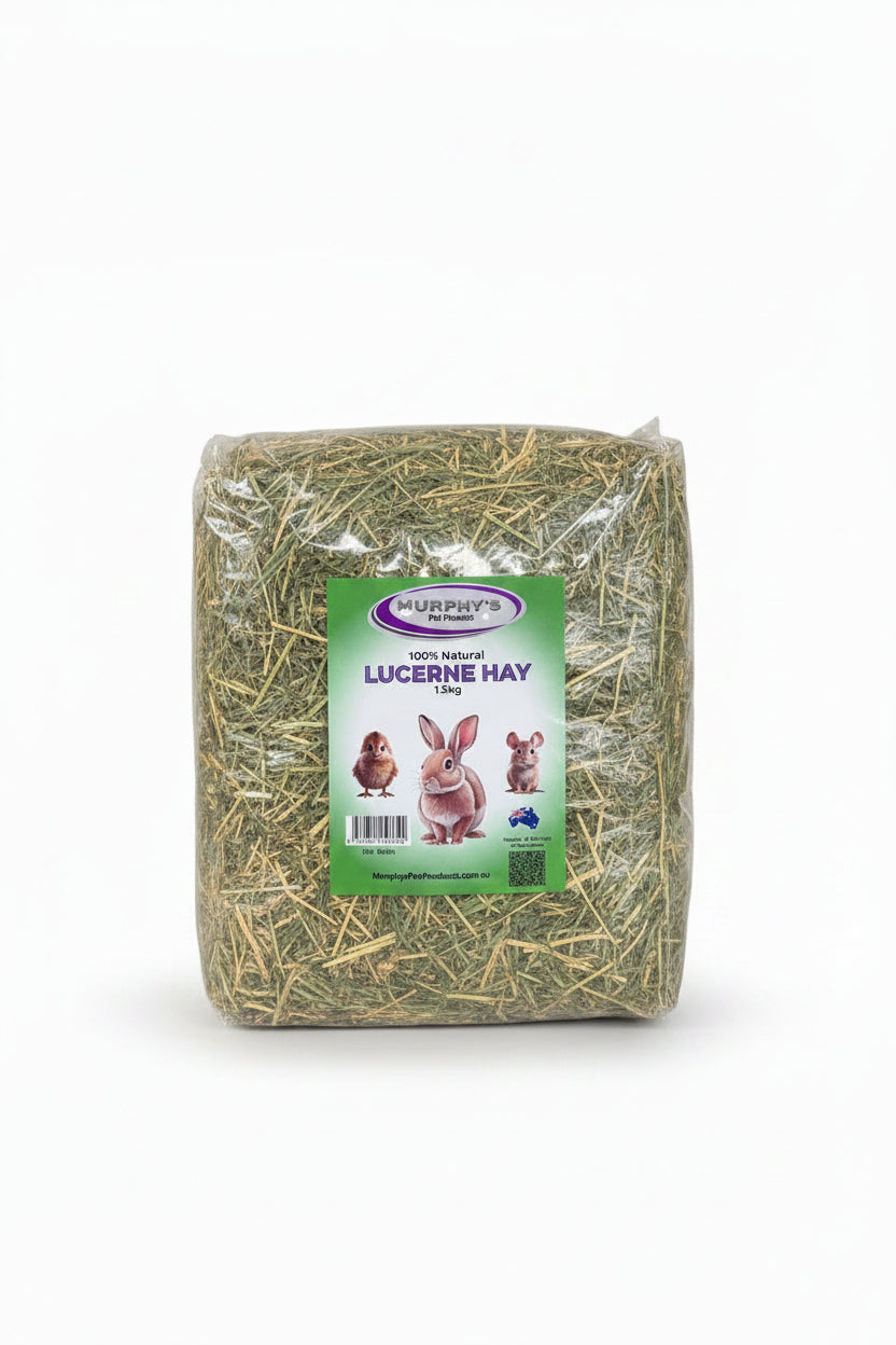 MURPHYS LUCERNE HAY 1.5KG BAG