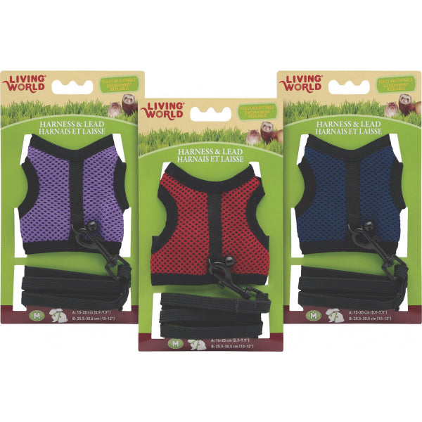 LIVING WORLD SMALL ANIMAL HARNESS SET ASST