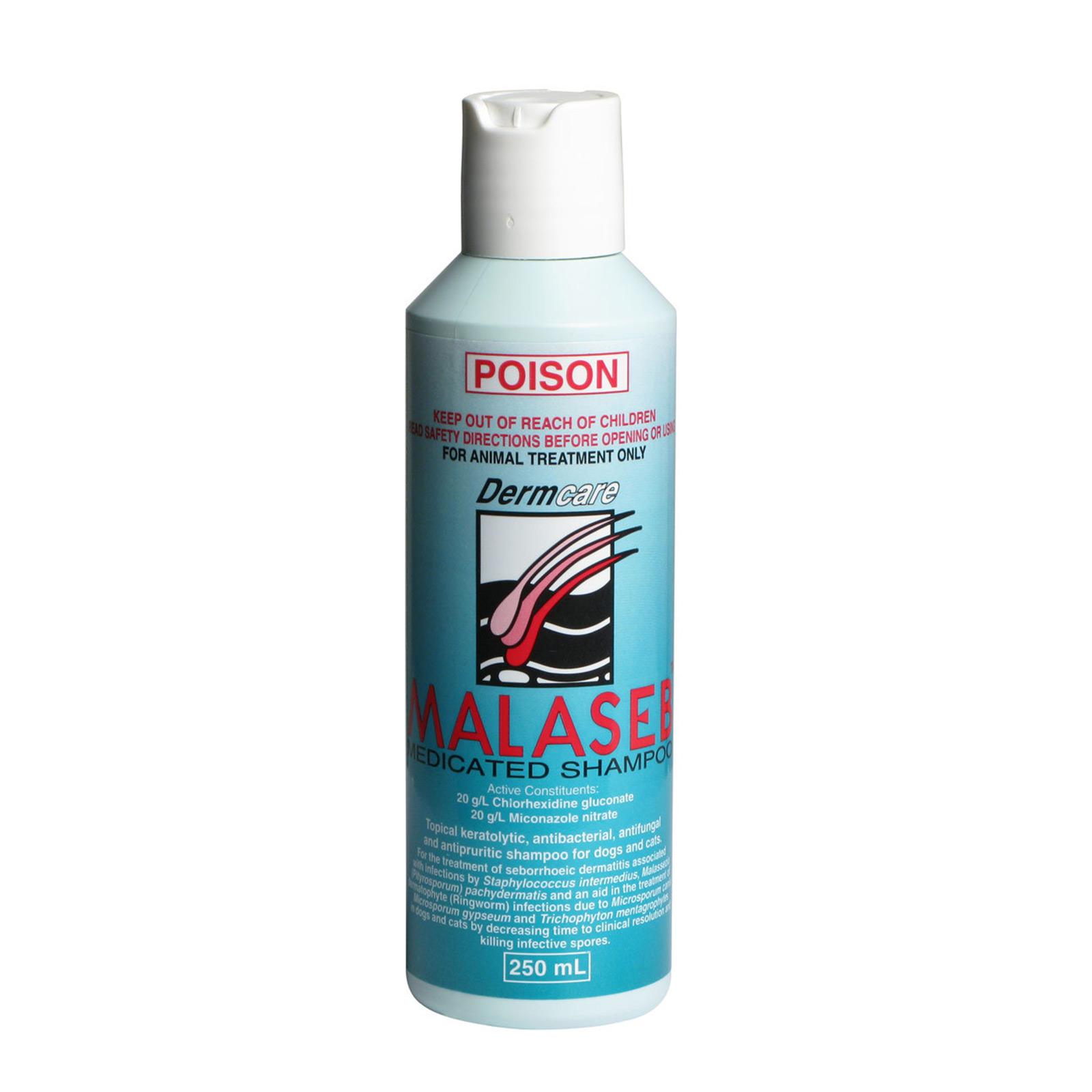 DERMCARE MALASEB MEDICATED SHAMPOO 250ML
