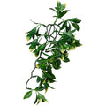 EXO TERRA JUNGLE PLANT MANDARIN MEDIUM