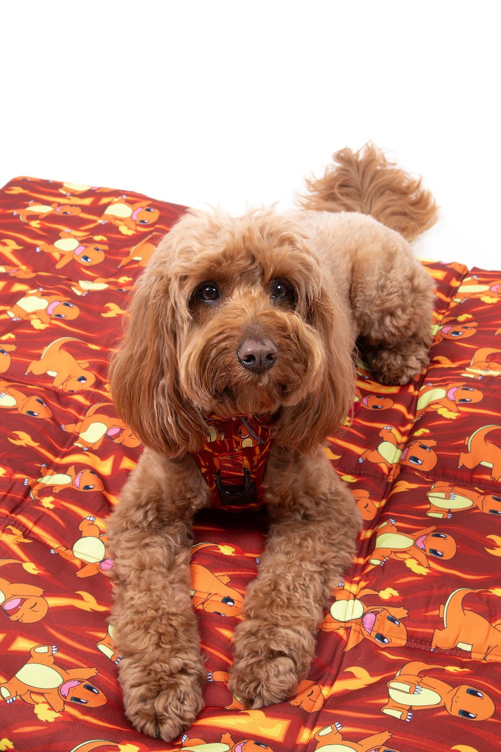 POKEMON CHARMANDER ON-THE-GO PET MAT 90X100CM