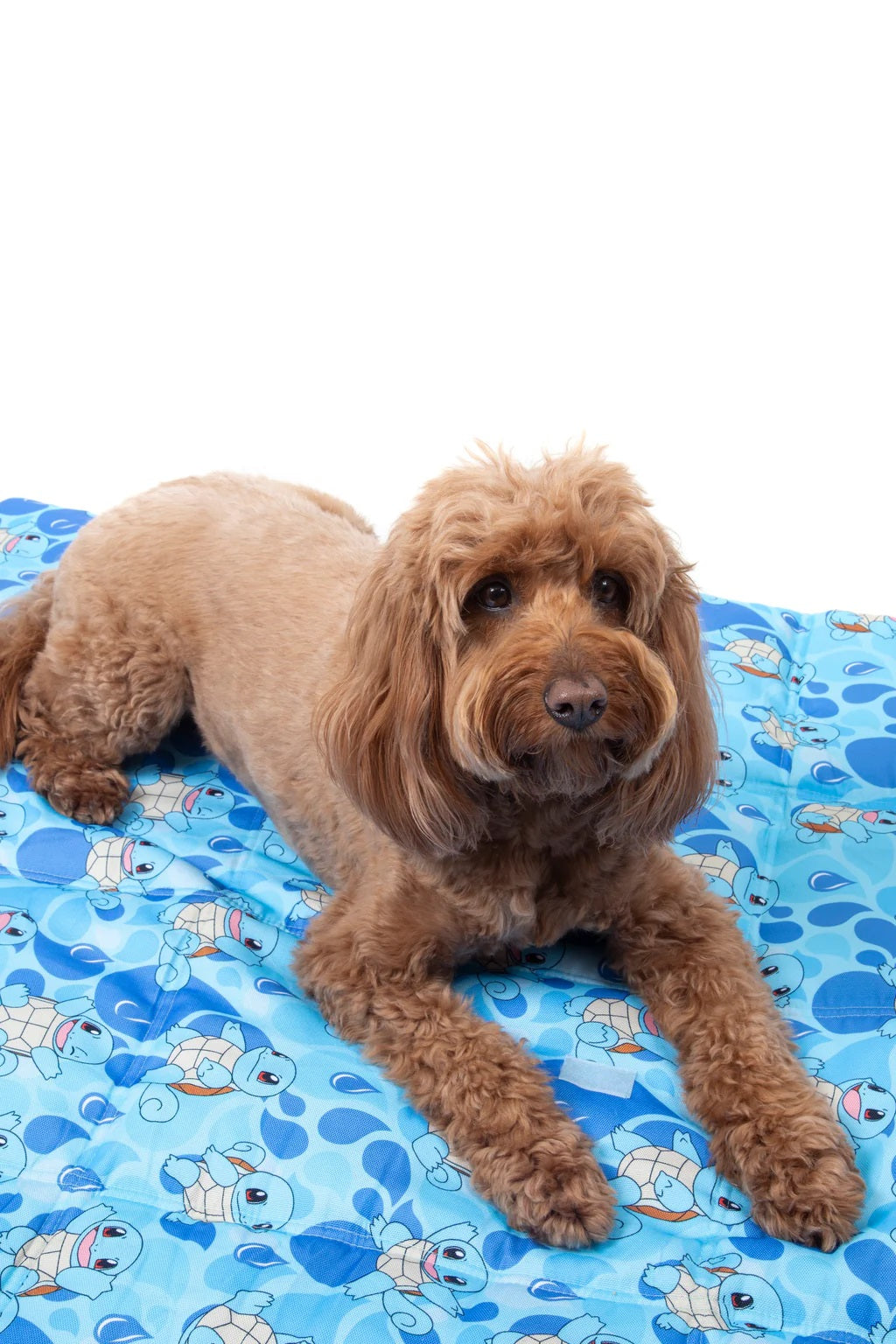 POKEMON SQUIRTLE ON-THE-GO PET MAT 90X100CM