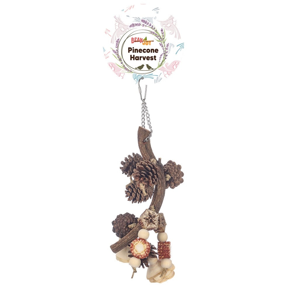 PINECONE HARVEST BIRD TOY