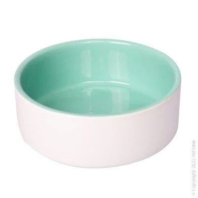 PET ONE CERAMIC PET BOWL GREEN AND WHITE 2200ML 22.5CM